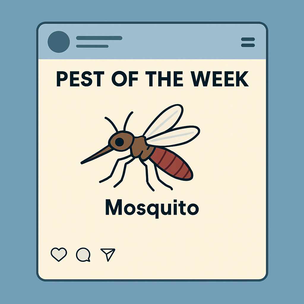 Social media post graphic featuring a mosquito labeled as "Pest of the Week" for educational pest control content