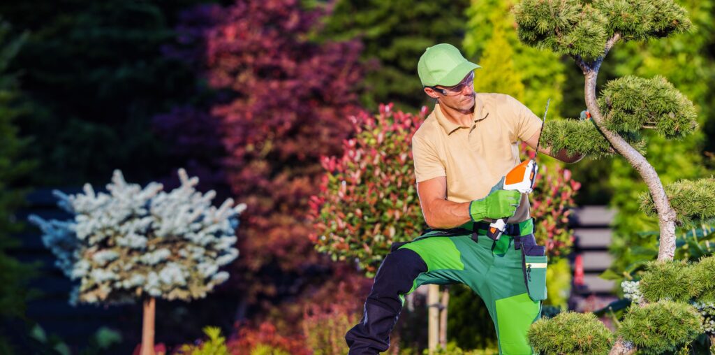 Professional landscaper trimming garden shrubs during routine yard maintenance, representing landscaper salary and daily landscaping work