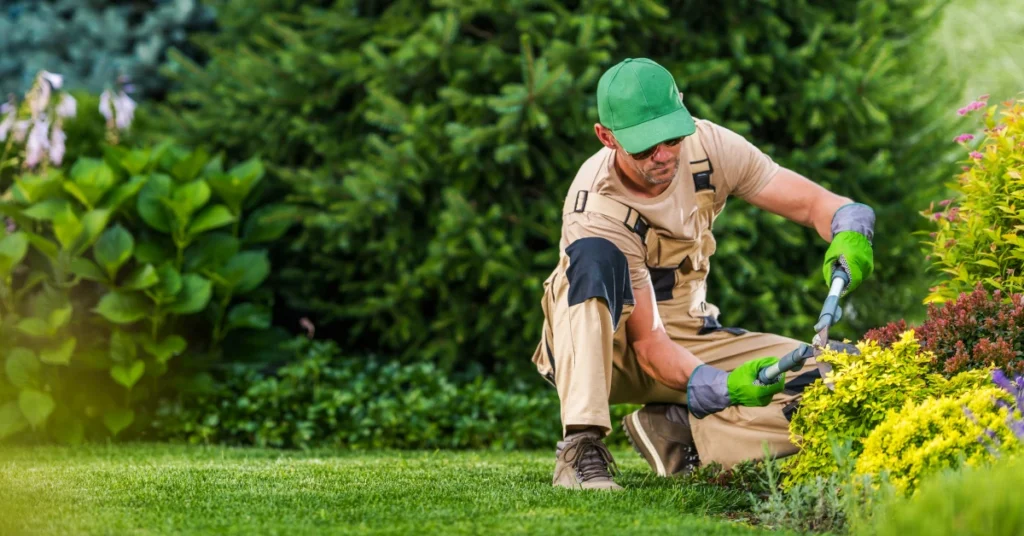Landscaper trimming garden shrubs while performing professional landscaping maintenance in a residential yard.
